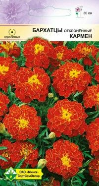 Бархатцы откл (Кармен) 0.5г (Беларусь)