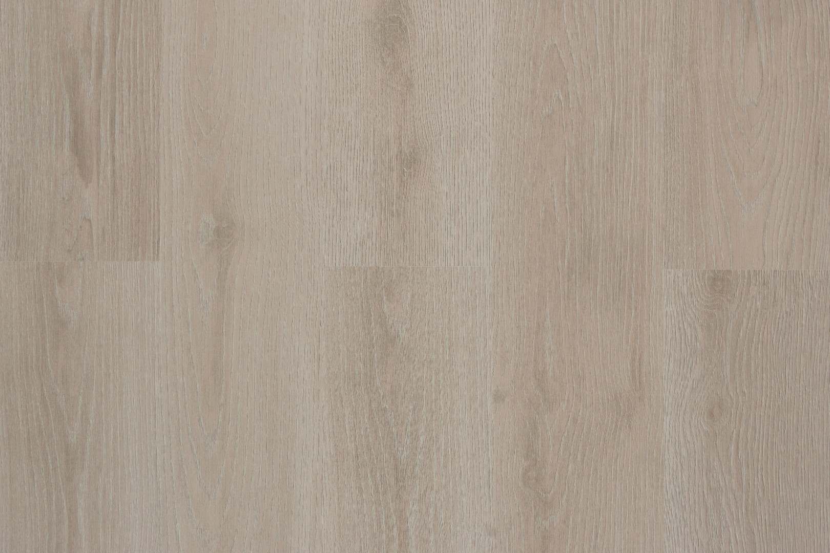 Ламинат Kastamonu Indigo Floorpan  Дуб Трезор 32 класс 8 мм (Россия) в Борисове