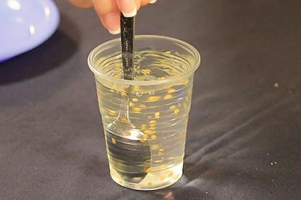 Замачивание семян томата Замачивание семян томата