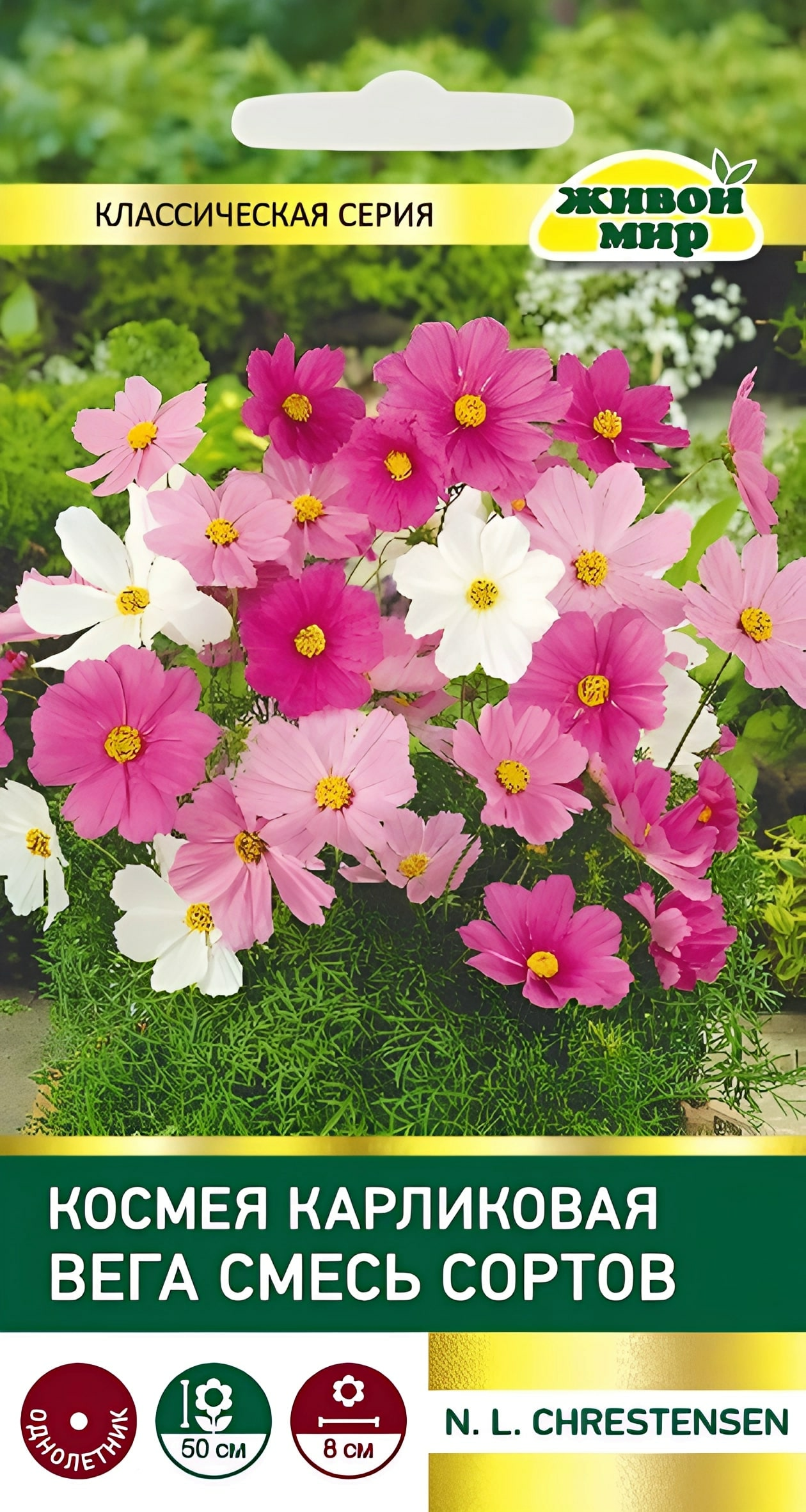 Космея Вега карликовая смесь W. Legutko 1 г (Беларусь)