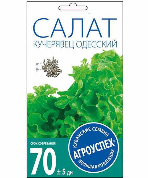 Салат Кучерявец Одесский полукочанный поздний 0,5г (Россия)