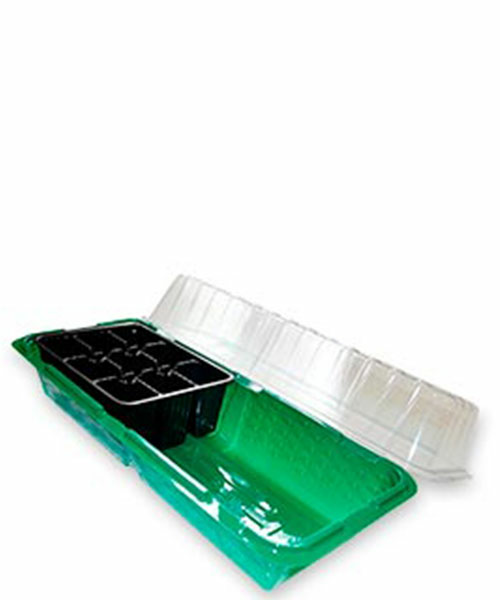 Минипарник (Россия)