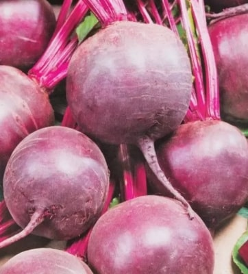 Свекла Фалькон F1 1г (Франция)