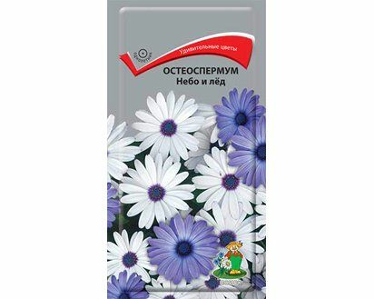 Остеоспермум Небо и лед (ЦВ) 0,1г (Россия)