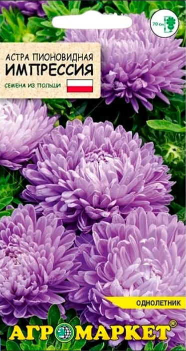 Астра пионовидная фиолетовая 0,5г (Польша)