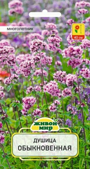 Душица обыкновенная (W. Legutko) 0,1 г (Беларусь)