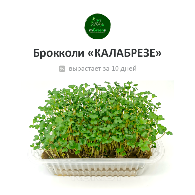 Набор для выращивания микрозели 3 коврика + Брокколи, Горох, Кольраби (Россия)