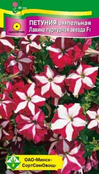 Петуния гибрит ампельная Лавина пурпурная звезда F1, 7шт (Беларусь)