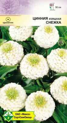 Цинния изящная Лилипутовая Снежка 0.5г (Германия)