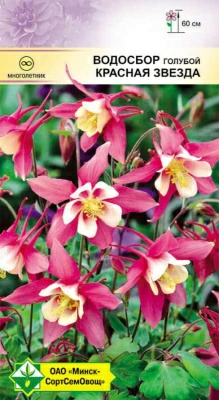 Водосбор голубой аквилегия Красная звезда 0.05г (Германия)