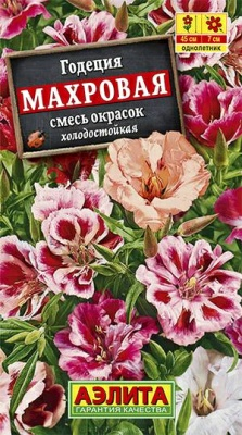 Годеция Махровая (Россия)