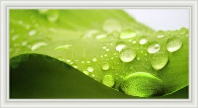 Репродукция 50/100 (1) арт д 8С0017 (Беларусь)