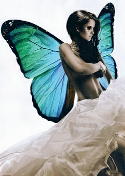 Репродукция 50/70 (1) мдф 8С0415 (Беларусь)