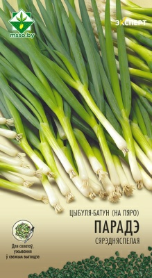 Лук-батун на перо Параде Эксперт (Россия)