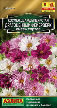 Космея Драгоценный фейерверк (Нидерланды)