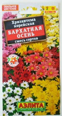 Хризантема Бархатная осень смесь (Россия)