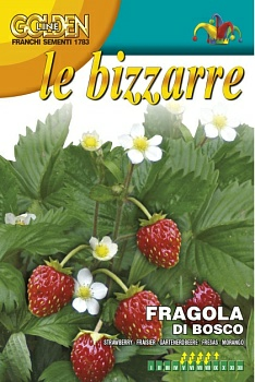 Земляника Лесная семена 0,35 г. Franchi (Италия) Земляника Лесная семена 0,35 г. Franchi (Италия)