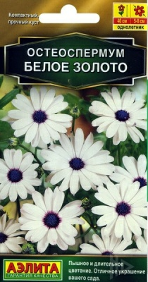 Остеоспермум Белое золото семена (Россия)