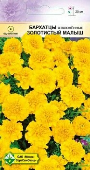 Бархатцы откл, Золотистый малыш 0.3г (Беларусь)