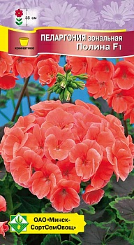 Пеларгония зональная Полина F1 4шт (Австрия)