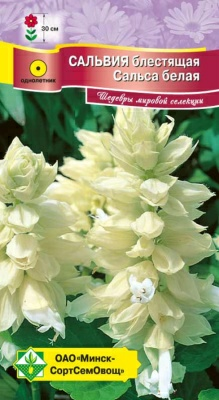 Сальвия блестящая Сальса белая 10шт (Чехия)