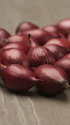 Лук севок Кармен 10-17мм 0,5кг (Нидерланды)