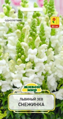 Львиный зев Снежинка W. Legutko 0,2 г (Беларусь)