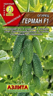 Огурец Герман F1 (Нидерланды)