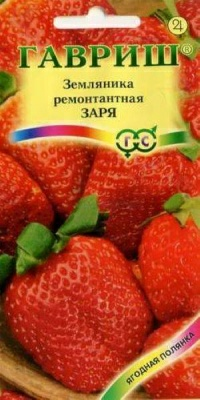 Земляника Заря 0,01 г ремонтантная (Россия)