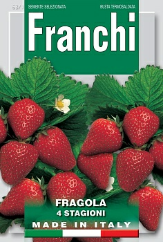 Земляника Четыре сезона 0,5г. семена Franchi (Россия) Земляника Четыре сезона 0,5г. семена Franchi (Россия)