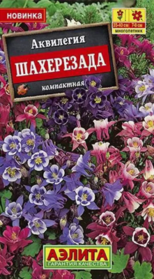 Аквилегия Шахерезада, смесь семена (Германия)