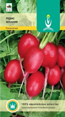 Редис Аскания 2,0г круглый ранний красный (Россия)