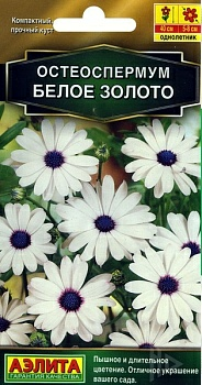 Остеоспермум Белое золото семена (Россия)