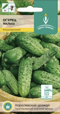 Огурец Малыш пчелоопыляемый (Россия)