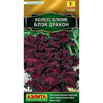 Колеус блюме Блэк дракон 5 шт (Россия)