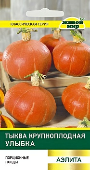 Тыква Улыбка крупноплодная Поиск 2г (Беларусь)