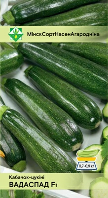 Кабачок Водопад F1 (Молдова)