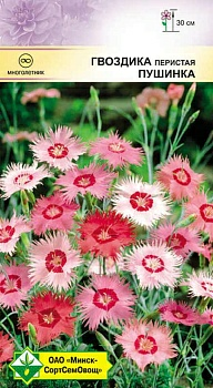 Гвоздика перистая Пушинка см 0.2г (Германия)