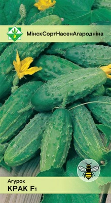 Огурец Крак F1 0.6г (Беларусь)