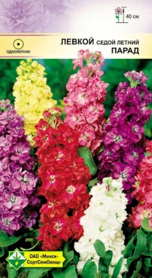 Левкой седой Парад см 0.15г (Беларусь)