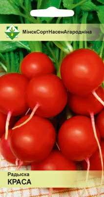 Редис Краса 2г (Польша)