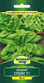 Шпинат Спейс F1 Bejo Zaden 2г (Беларусь)