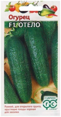 Огурец Отело F1 (Россия)