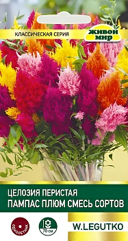 Целозия перистая Пампас плюм смесь сортов W. Legutko 0,3 г (Беларусь)