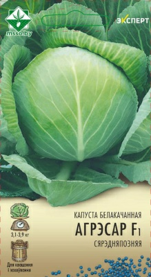 Капуста б/к Агрессор F1 Эксперт (Голландия)