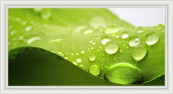 Репродукция 50/100 (1) арт д 8С0017 (Беларусь)