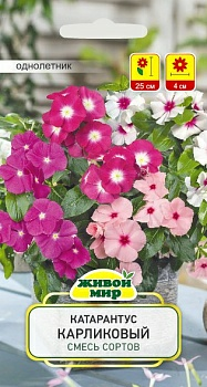 Катарантус Карликовый смесь (W. Legutko) 0,1 г (Россия)