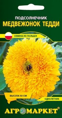 Подсолнечник декоративный Медвежонок Тедди, 15 шт (Польша)