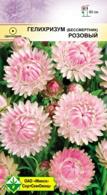 Гелихризум прицветниковый Розовый 0.2г (Беларусь)