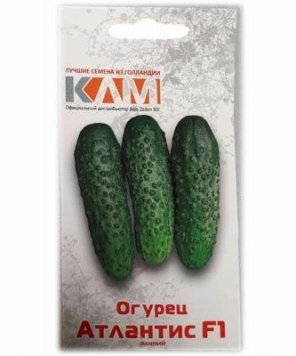 Oгypeц Aтлaнтиc F1 20шт (Нидерланды)